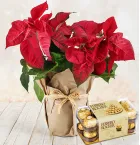 Send Christmas Gift to Malabon City Philippines | Delivery Christmas Gift to Malabon City