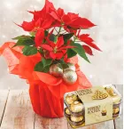 Send Christmas Gifts to Manila Philippines | Christmas Gifts Delivery to Philippines