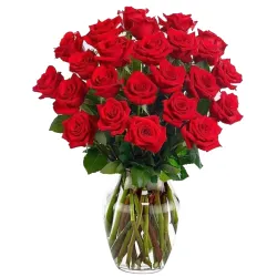 Flower Delivery Salvador - Red Rose Vase