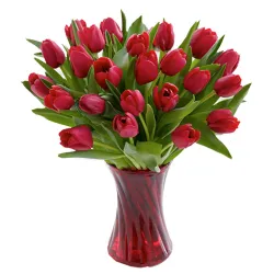 send 12 red tulips to philippines