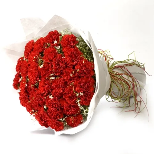 Send 20 Red Carnations To Philippines