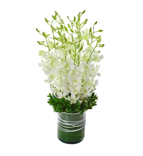 White Orchids send to Philippines