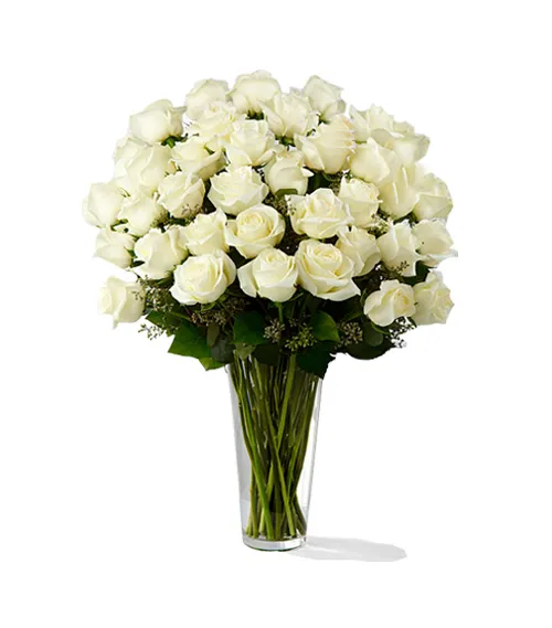 send 24 white roses in vase