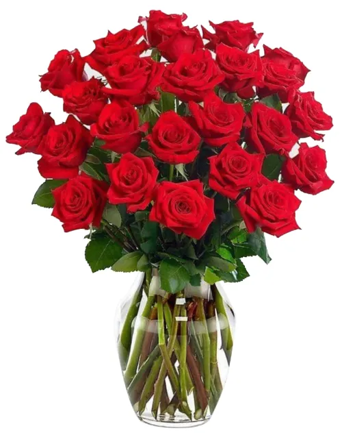 Flower Delivery Salvador - Red Rose Vase