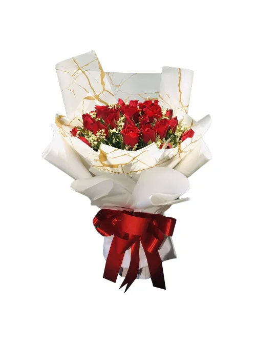 Flower Delivery Santiago, Isabela - Two Dozen Red Roses