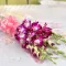 send 12 stems orchids to philippines