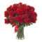 send 12 red rose with 12 red carnation